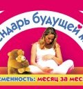 Календарь будущей мамы. Беременность: месяц за месяцем (Елена Сосорева, 2009)