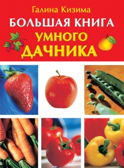 Книга "Большая книга умного дачника" – Галина Кизима, 2010