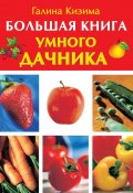 Большая книга умного дачника (Галина Кизима, 2010)