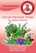 Книга "Аптекарский огород" (Анастасия Колпакова, 2013)