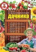 Большая энциклопедия дачника (Елена Вечерина, 2013)