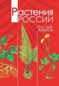 Книга "Растения России. Красная книга" (А. В. Тихонов, 2012)