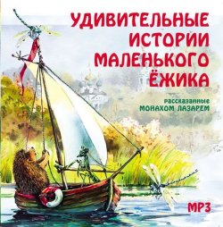 Книга "Удивительные истории маленького ежика" – монах Лазарь (Афанасьев), 2013