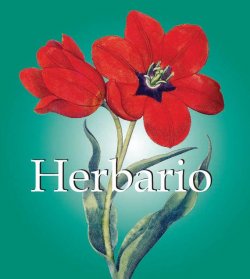 Книга "Herbario" {Mega Square} – Klaus H. Carl