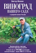 Виноград вашего сада в средней полосе России (Виктор Жвакин, 2011)
