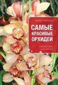 Самые красивые орхидеи. Справочник цветовода (Ирина Зайцева, 2013)