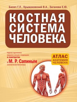 Книга "Костная система человека" {Атлас: анатомия человека} – Г. Л. Билич, 2013