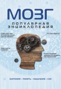 Мозг: популярная энциклопедия (Андрей Дианов, 2014)