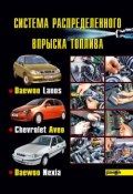 Система распределенного впрыска топлива автомобилей Daewoo Lanos, Chevrolet Aveo, Daewoo Nexia (К. П. Быков, 2007)