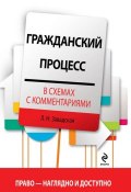 Книга "Гражданский процесс в схемах с комментариями" (Л. Н. Завадская, 2016)