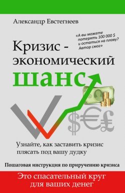 Книга "Кризис: экономический шанс" – Александр Евстегнеев, 2014