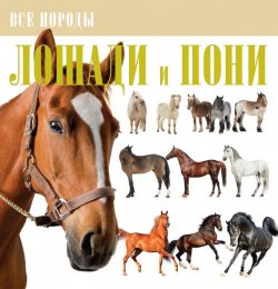 Книга "Лошади и пони" {Все породы} – Владимир Жабцев, 2014