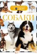 Книга "Собаки" (Ирина Травина, 2014)