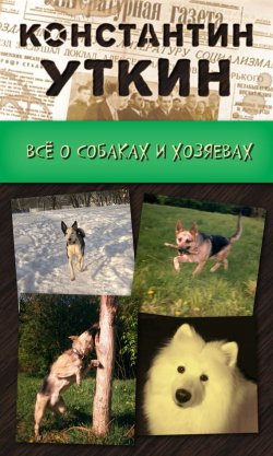 Книга "Кинология. Всё о собаках и хозяевах" – Константин Уткин, 2009