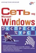 Книга "Сеть под Microsoft Windows" (А. В. Поляк-Брагинский, 2003)