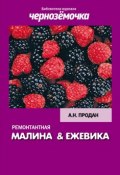Книга "Ремонтантная малина и ежевика" (А. Н. Продан, А. Продан, 2012)
