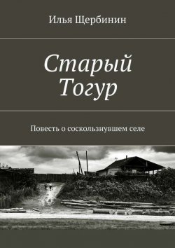 Книга "Старый Тогур. Повесть о соскользнувшем селе" – Илья Щербинин