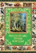 Книга "Русский лес. Грибы и ягоды" (, 2013)
