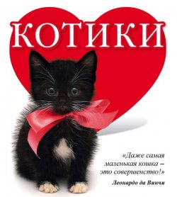 Книга "Котики" – Евгения Гюнтер, 2015