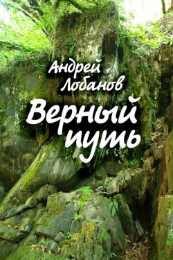 Книга "Верный путь" – Андрей Лобанов, 2015