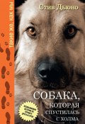 Книга "Собака, которая спустилась с холма. Незабываемая история Лу, лучшего друга и героя" (Стив Дьюно, 2010)