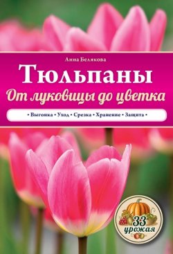 Книга "Тюльпаны. От луковицы до цветка" {33 урожая} – Анна Белякова, 2015