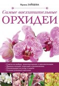 Самые восхитительные орхидеи (Ирина Зайцева, 2015)
