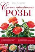 Книга "Самые прекрасные розы" (Галина Панкратова, 2015)