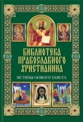 Книга "Истины Нового Завета" (П. Е. Михалицын, 2014)