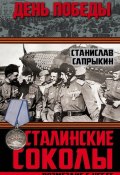 Книга "Сталинские соколы. Возмездие с небес" (Станислав Сапрыкин, 2015)