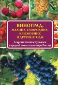 Виноград, малина, смородина, крыжовник и другие ягоды (Виктор Жвакин, 2015)