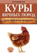 Книга "Куры яичных пород" (Иван Балашов, 2016)