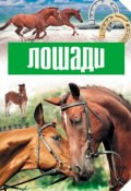 Книга "Лошади" (, 2015)