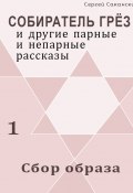 Сбор образа (сборник) (Сергей Саканский, 2002)