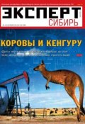 Эксперт Сибирь 38 (Редакция журнала Эксперт Сибирь, 2013)