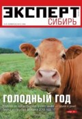 Эксперт Сибирь 41-2012 (Редакция журнала Эксперт Сибирь, 2012)