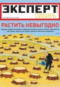 Эксперт Сибирь 04-06-2011 (Редакция журнала Эксперт Сибирь, 2011)