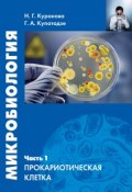 Микробиология. Часть 1. Прокариотическая клетка (Н. Г. Куранова, 2013)