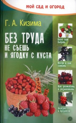 Книга "Без труда не съешь и ягодку с куста" – Галина Кизима, 2007