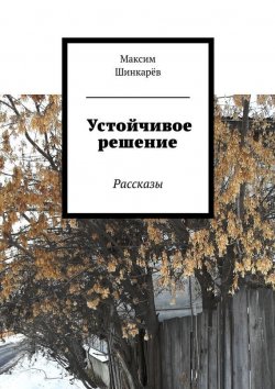 Книга "Устойчивое решение" – Максим Шинкарёв
