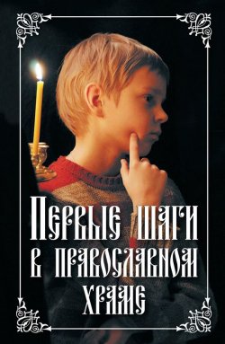 Книга "Первые шаги в православном храме" – Посадский Николай, 2010