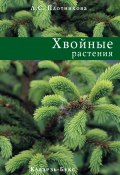Хвойные растения (Лилиан Плотникова, 2006)