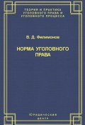 Норма уголовного права (Вадим Филимонов, 2004)