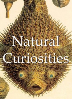 Книга "Natural Curiosities" {Mega Square} – Alfred Russel  Wallace