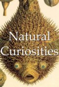 Книга "Natural Curiosities" (Alfred Russel  Wallace)