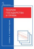 Теория государства и права. Схемы и комментарии (Коллектив авторов, 2009)