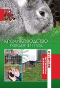 Книга "Кролики. Разведение и уход" (Н. А. Шабанова, 2014)