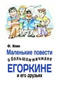 Маленькие повести о большом мичмане Егоркине и его друзьях (Ф. Илин, 2015)