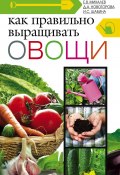 Как правильно выращивать овощи (Владимир Аристов, Ирина Шабина, Е. Михалев, Дина Новоторова, 2013)