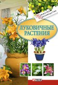 Книга "Луковичные растения" (Дорошенко Татьяна, 2010)
